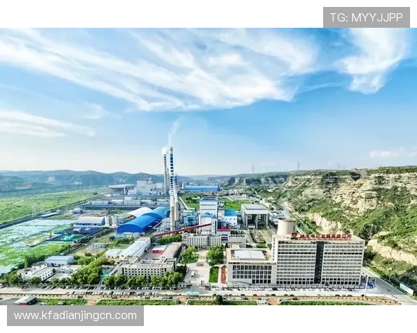 天生赢家一触即发k8：如何在竞争中脱颖而出成为领袖